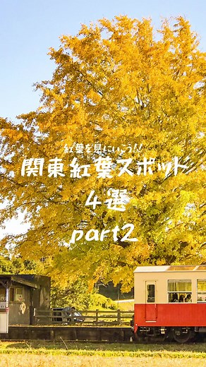 関東紅葉スポット4選 part2🍁