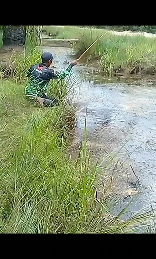 49K views · 209 reactions | cepat makan | Di Edi | Facebook