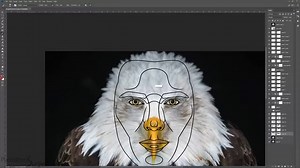1.4M views · 141 shares | EAGLE with HUMAN proportions! | Photoshop Surgeon | Facebook