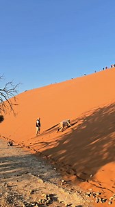 8.1K views · 202 reactions | Exploring The Namib Desert, Namibia The Namib Desert is Considered the Oldest Desert in the World. Approximately 55-80 Million Years. It's a Coastal Desert that stretches along the Southwest Coast of Africa, spanning parts of Namibia, South Africa, and Angola. | Benschop Travel & Tours | Facebook