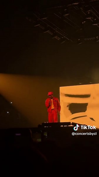 Tyler, The Creator Concert in Melbourne - Night 2 Highlights