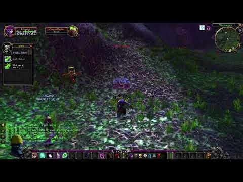 WORLD OF WARCRAFT! FRESH PLAY THRU! 1-60 CLASSIC!