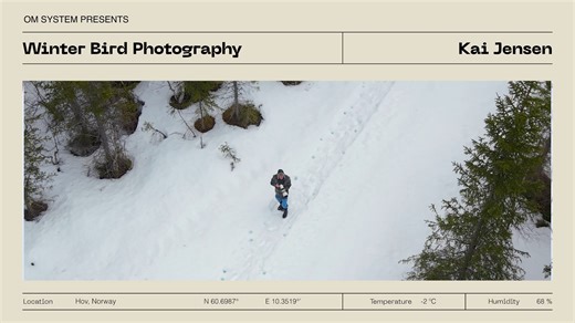 "I've been doing wildlife photography for almost thirty years – and winter has always been my favourite time..." Join OM SYSTEM Ambassador Kai Jensen for a wintery walk and pick up tips for your own nature photography during this beautiful season. Show us your most wintery wildlife photos in the comments! ❄️ 📸 | OM System