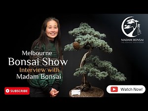 Madam Bonsai Show Interview Day 1