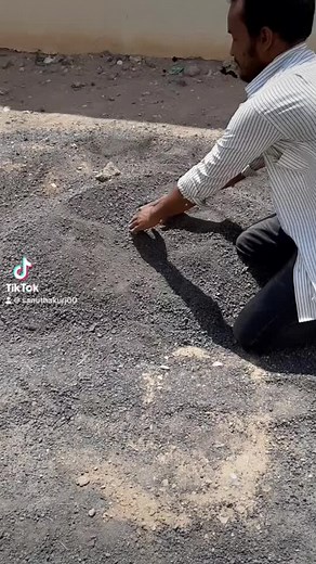 Gardening Steps: Digging and Planting Tips