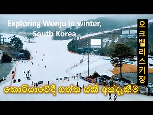 Exploring Wonju in winter, South Korea 😍 | Skiing at Oak Valley Ski Resort | 오크밸리 스키장