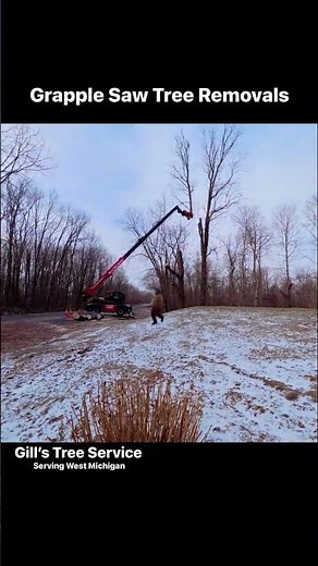 Grapple Saw Tree Removal Timelapse | Gills Tree Service in Fennville, MI