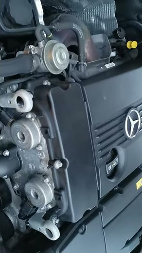 W204 M271 Motor Steuerkette defekt?