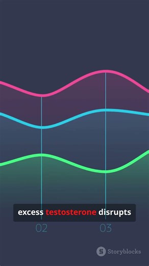 how does testosterone actually affect the body?”