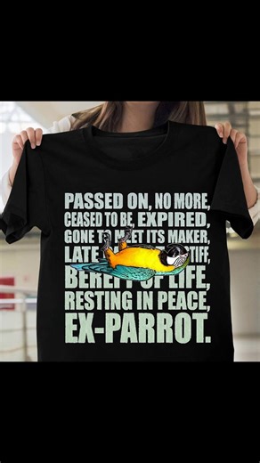 Monty Python Fan T-Shirt Order here: => https://bit.ly/3CUoFSC #comedy #comedyreels #comedyvideos #tshirts #montypythonandtheholygrail #montypythonsflyingcircus #montypythonflyingcircus #montypythonslifeofbrian #montypythonlifeofbrian #montypythonholygrail #montypythonquotes #montypythontattoo #montypythonmemes #montypython | Monty Python Fan