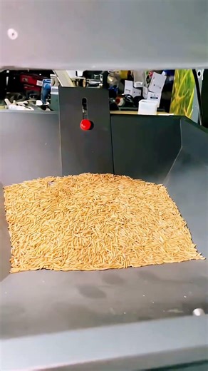 You Won’t Believe This Rice Machine! 😳🌾