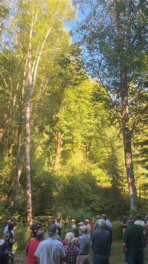 5K views · 26 reactions | TREE FARMER OF THE YEAR: Scenes from a tour around Wild Thyme Farm, named Lewis County 2025 Tree Farm of the Year, on Tuesday, July 15. Washington tree farmer John Henrikson and the Lewis County chapter of the Washington Farm Forestry Association hosted a farm tour Tuesday evening to celebrate Henrikson's selection as Lewis County Tree Farmer of the Year. Read the full story at chronline.com. Video by Chronicle photographer Ridley Hudson. | The Chronicle | Facebook