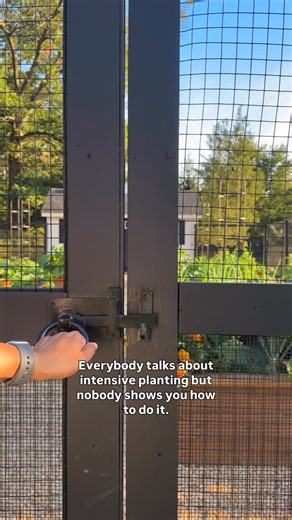 Resh Gala | Organic Gardener on Instagram: "Sharing my tips on intensive planting with you today… Only 5 things to consider when it comes to intensive planting: 1. Soil Health Compost, worm castings, cover crops are your friend. 2. Size of Plant Large/ tall plants in the middle, medium sized plants next to them and short plants on the edges or borders. Use trellises for tall, vining crops to grow vertically, like peas, cucumbers, tomatoes and pole beans, and free up space below to grow more food