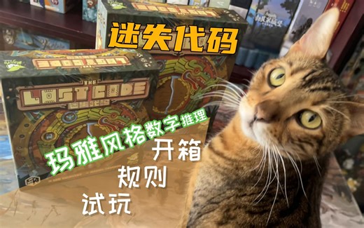 【柏然玩桌游】烧脑数字解密？《迷失代码》开箱|规则|试玩