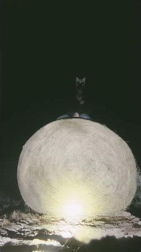 Happy New Years 🎉🎊🎇 #therianthropy #therian