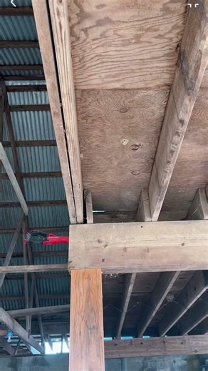 Was ready to post this on the backup account but so happy to be back on here!:)