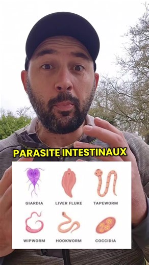 Parasites intestinaux : prévention et traitements