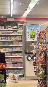 5.7K views · 35 reactions | [ Nincs mese, ha fáj a feje kell a gyógyszer ]  Ismerd meg a Z-shops.eu-t, a vadász és outdoor szerelmeseinek paradicsomát! Minőségi termékek, versenyképes árak. Nálunk érdemes vásárolni!  www.z-shops.eu | VadaszApro.hu | Facebook