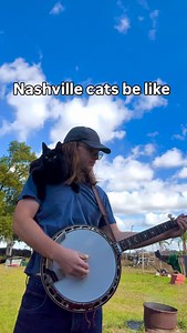 Banjo car #banjo #cat #bluegrass #cats #bluegrassbanjo | Nathan Beaumont