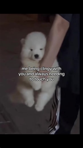 Clingy Love: A Cute Dog and Couple Connection