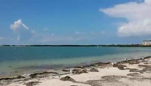 6.1K views · 352 reactions | Dunedin Causeway now, looking out toward Caladesi Island and Honeymoon Island. It's heavenly out here!  | Honeymoon Island and Dunedin Causeway, Florida | Facebook