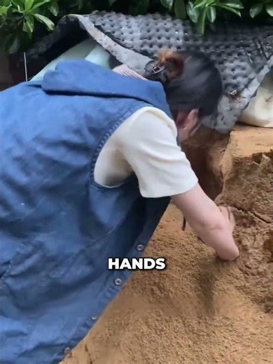 I had to dig my hamster out of a collapsing hole 🐹 #shorts #rescue #wholesome