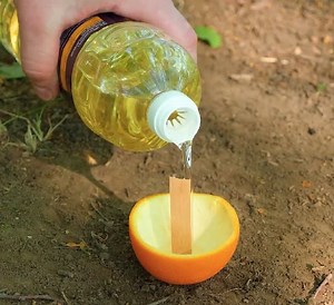 43K views · 61 reactions | Simple camping ideas for your awesome time in the wild! | 3-Minute Hacks | Facebook