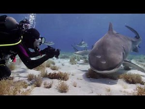 PADI Women in Diving –Bimini Shark Girl
