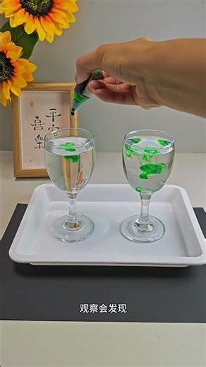 Unleash Your Inner Scientist: Easy Relaxation Experiments
