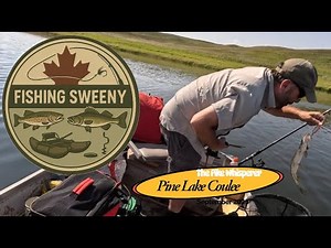 Pine Coulee Pike Sept 2025