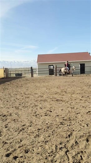 I wanted to film Jacki's introduction to the bosal because I not only wanted to capture the questions I was sure she would have, and how riding in one has to be treated a bit differently then in a bit. I also talk a bit about bosal fit, usage, and some training tips and philosophies. Jacki did quite well - one of the benefits and goals with riding in a bosal is to make a softer and more responsive horse. Jacki is such a fun horse for me to have the ability to experiment and play with! | Nina Hal