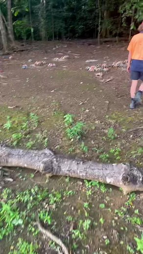 Based.Angler on TikTok