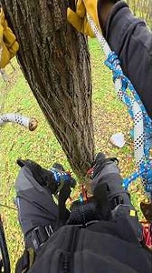 I Upgraded Cheap Tree Climbing Spikes – Now No Foot Pain Just Fun