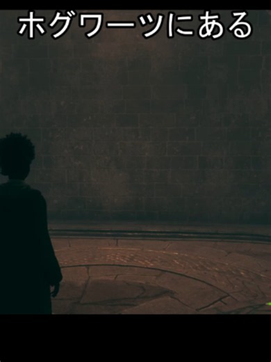 寮の入口 他の生徒拒否 #ハリーポッター #ホグワーツレガシー | hogwartslegacy
