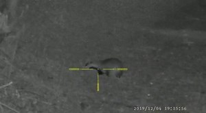 3K views · 19 reactions | Nočné videnie 2v1 (režím Deň/Noc) - zameriavač a monokulár Pard NV008+ LRF (verzia plus s diaľkomerom!) v akcii! Skladom tu: www.bit.ly/NV008LRF  Power bank EMOS ALPHA 20000 mAh ako darček!  32gb SD karta ako darček! | huntingland.sk | Facebook