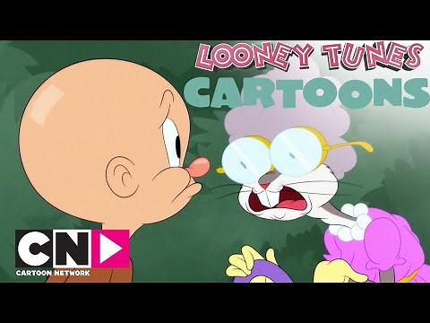 La famiglia di Taddeo | Looney Tunes Cartoons | Cartoon Network Italia