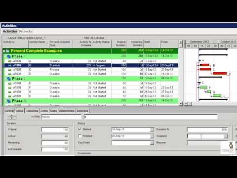 Primavera P6 Percent Complete Types