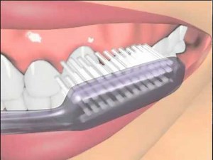 tooth brushing bass technique