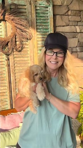 Cavachon's Forever Home Journey 🐶💛 Heartwarming Adoption Story #HappyTails #ForeverHome