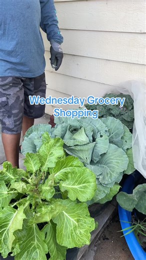 Black gardening joy on TikTok