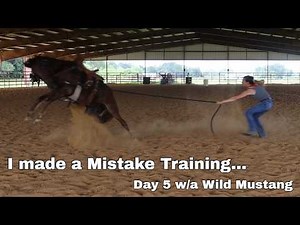 I Made a Mistake Training... | Mustang Magic 2027