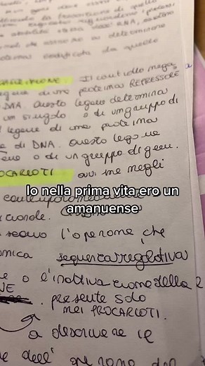 Handwritten Notebook Insights: Math and Personal Notes