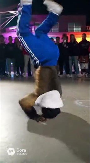 A monkey breakdancing.