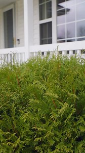  Your Dream Home in the Golden Sands Golf Course Community! This...