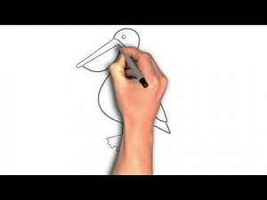 “Easy Pelican Drawing: Step-by-Step for Beginners”