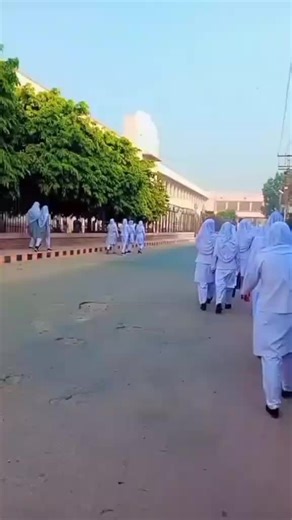 Exploring College Life Experiences