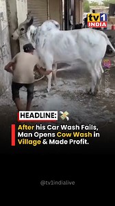 After his Car Wash Fails, Man Opens Cow Wash in Village & Made Profit !! . . #cows #carwash #villagelife | Tvone India Live