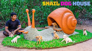 Rescuing Abandoned Puppies and Building a Magical Snail Shaped Dog House as Their New Home