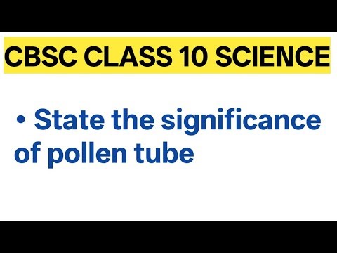 Class 10 Cbsc science State the significance of pollen