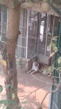 Trương Khánh Diệp đi trải nghiệm Thiên đường Bảo Sơn lớp 5c p2